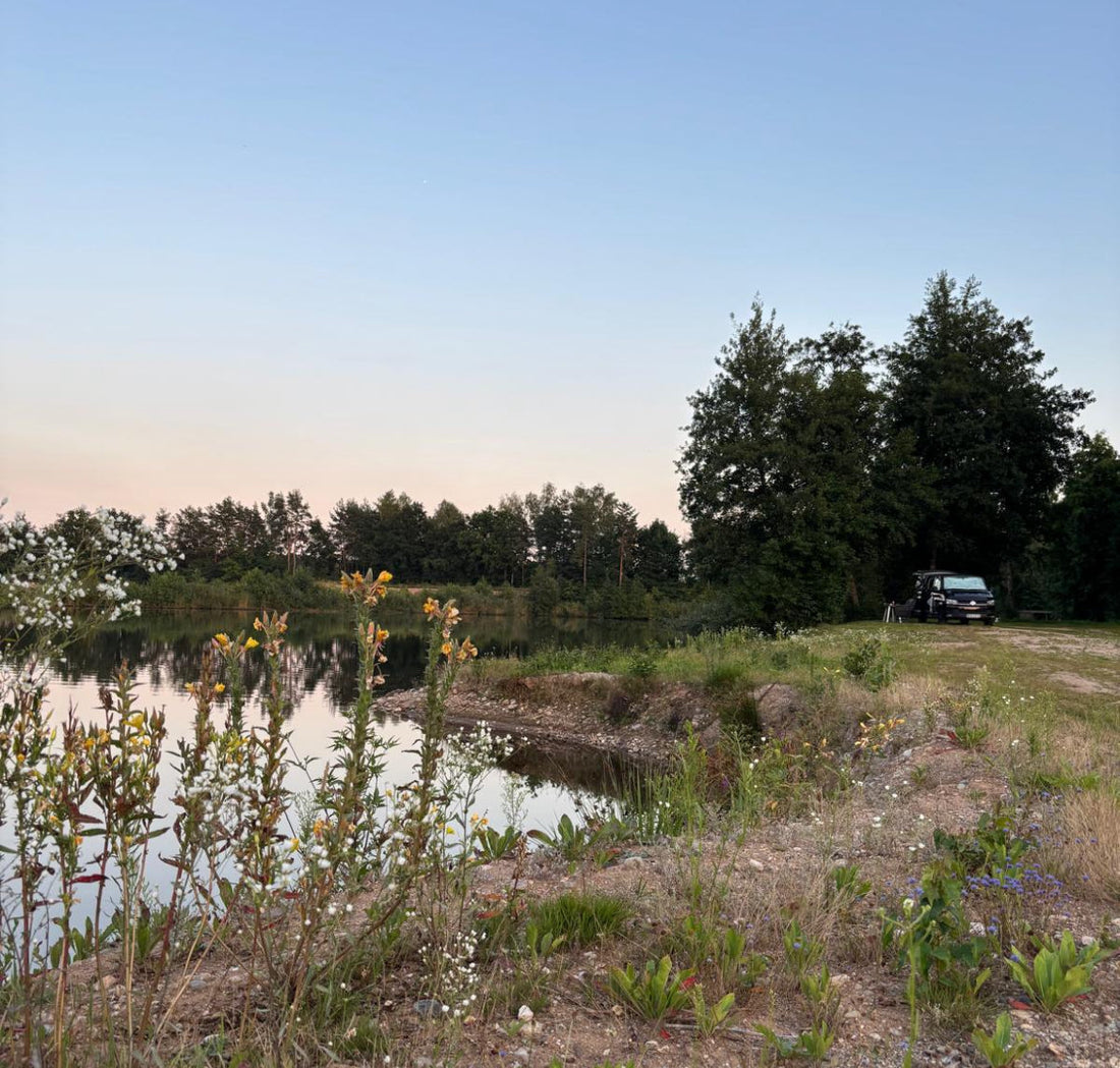 Dein erster Campingtrip mit der FlexBox – Tipps für Einsteiger