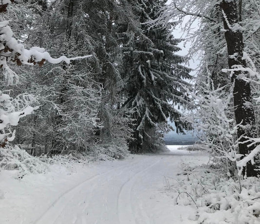 10 Tipps fürs Wintercamping mit dem Van